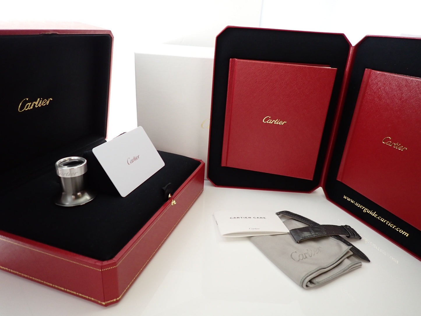 Cartier Santos-Dumont Skeleton Ref.WHSA0032