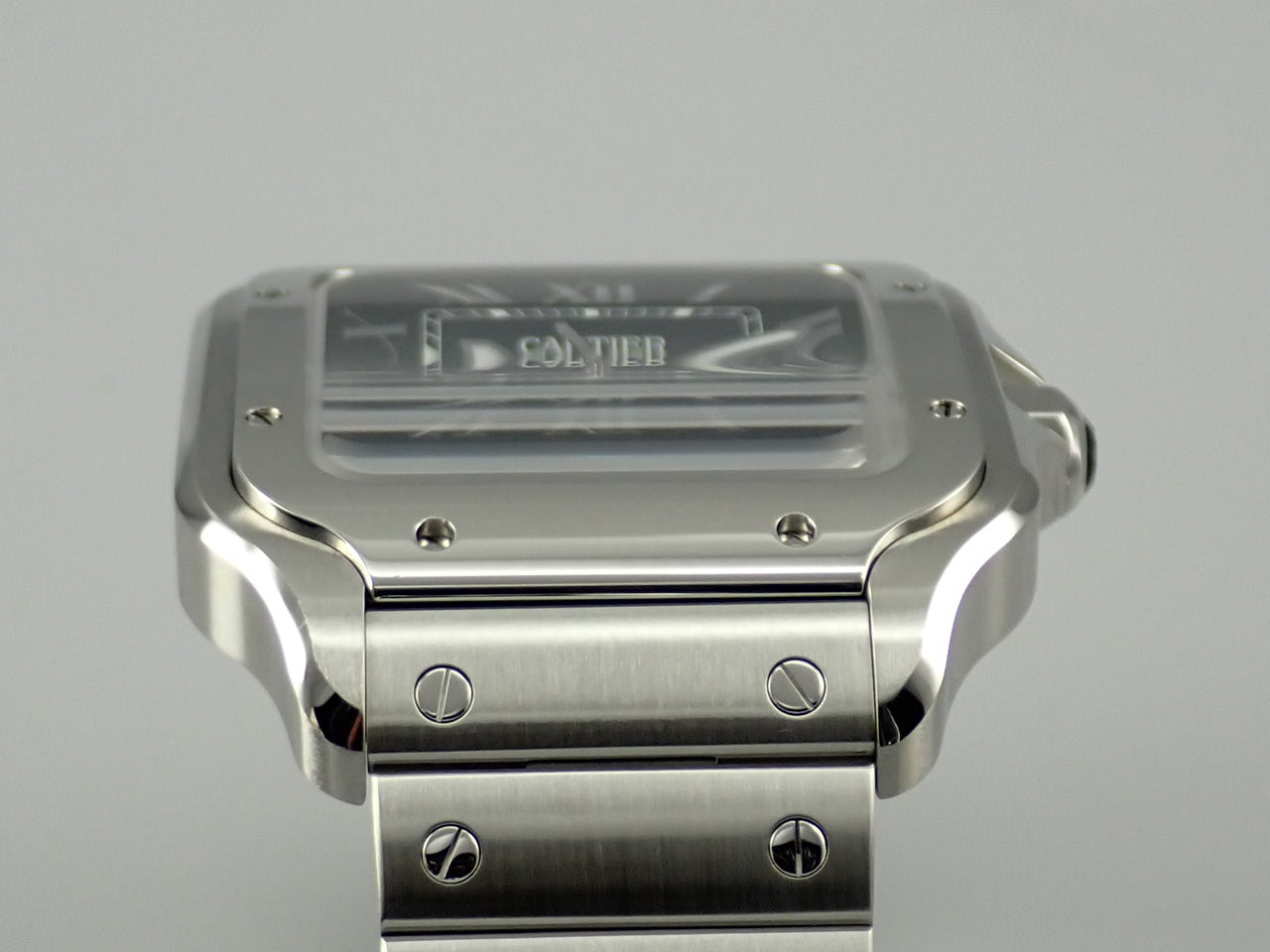 Cartier Santos de Cartier Ref.WSSA0030