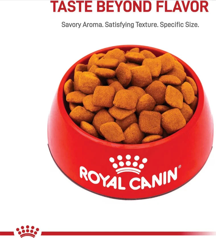 Royal Canin Breed Health Nutrition Golden Retriever Adult Dry Dog Food, 30 lbs.
