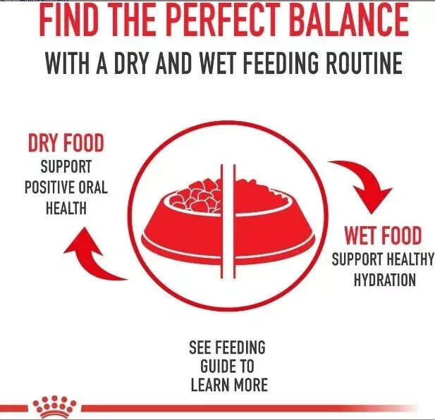 X5 Royal Canin Medium Breed Adult Dry Dog Food, 30 lb bag