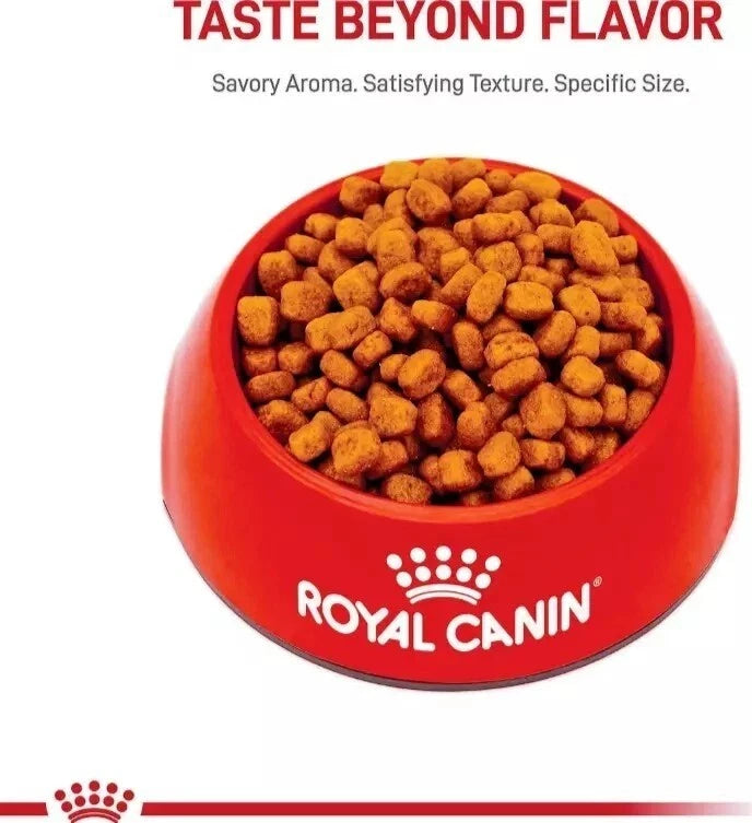 Royal Canin Breed Health Nutrition Yorkshire Terrier Adult Dry Dog Food, 10 lbs.