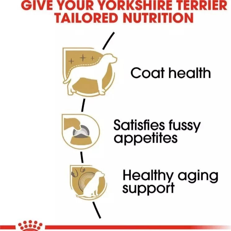 Royal Canin Breed Health Nutrition Yorkshire Terrier Adult Dry Dog Food, 10 lbs.