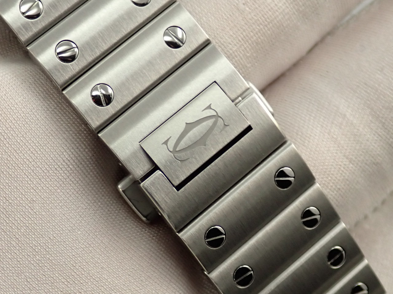 Cartier Santos de Cartier Ref.WSSA0029